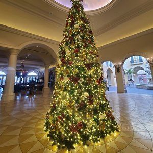 Same/Next day shipping through Christmas  🎄